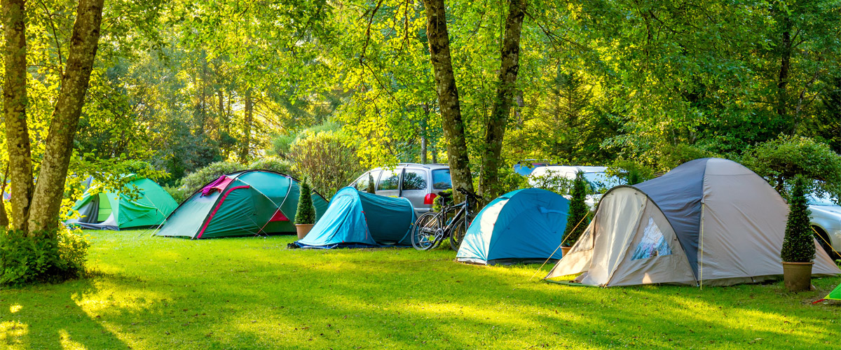 green area with several tent pitches