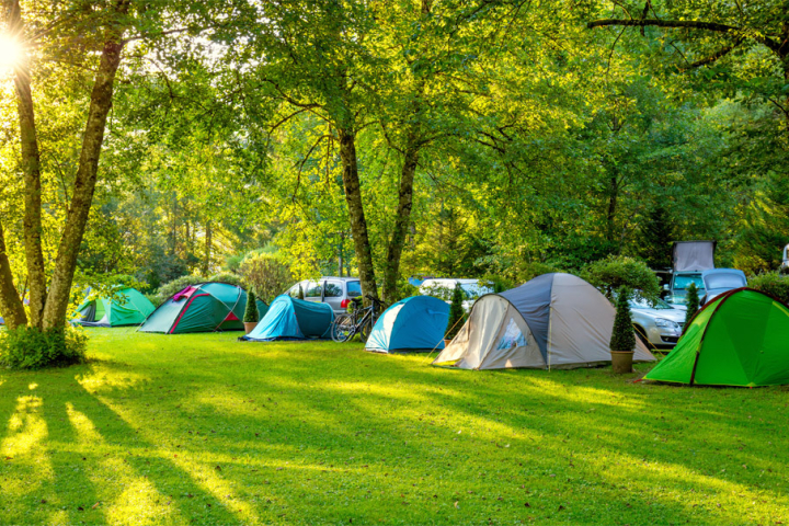green area with several tent pitches