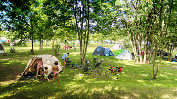 Lively campsite with lots of greenery and shady trees.