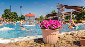 busy swimming pool with bathers
