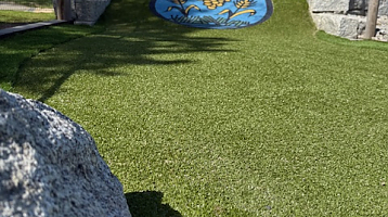 &nbsp;